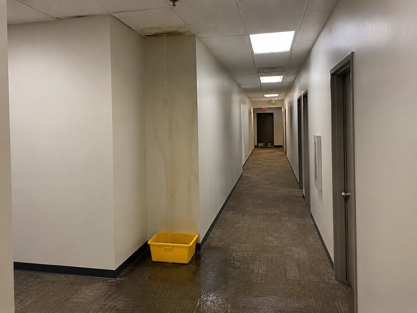 Reported - ceiling leak, water on the floor