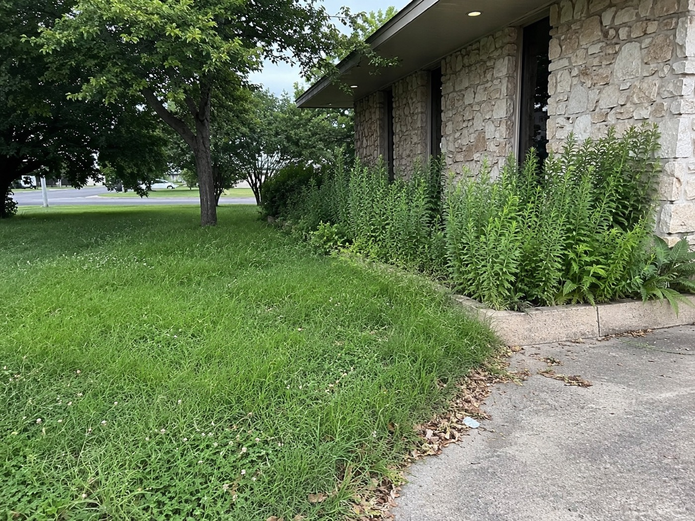 Grounds maintenance - mow, edge, bed cleanup — before